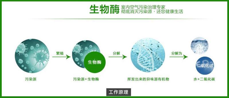 光觸媒、生物酶除甲醛產品介紹【佛山】 光觸媒、生物酶除甲醛【佛山】